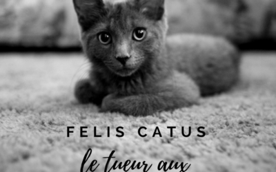 Felis catus, le tueur aux pattes de velours