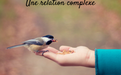 Homme & oiseaux : une relation complexe