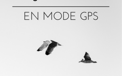 La migration des oiseaux : en mode GPS