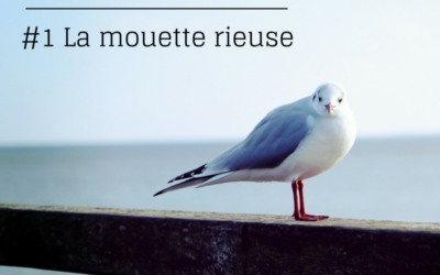 La série de l’été – Episode 1: La Mouette rieuse