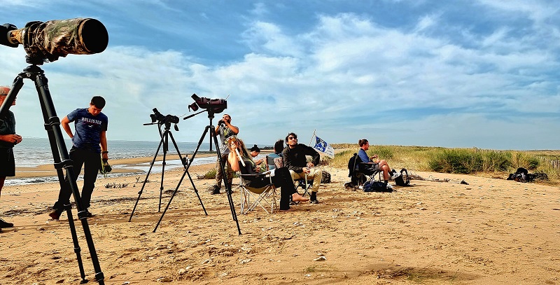 Suivi de la migration à la pointe de l’Aiguillon – Photo © Hugo Viger – LPO Vendée