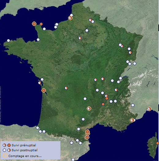 Les sites de suivi migratoire en France, un article du bird-blog d'une histoire de plumes