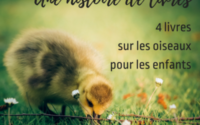 4 livres sur les oiseaux pour les enfants