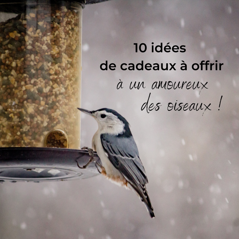10 idées de cadeaux à offrir à un amoureux des oiseaux! - Une histoire de  plumes
